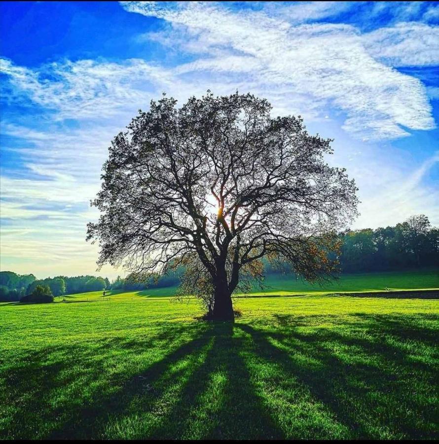Blick Punkt Daire Tann  Dış mekan fotoğraf